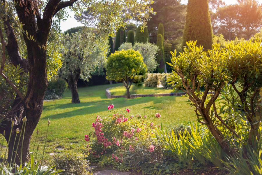 Ogród w stylu góralskim – tradycja spotyka się z naturą 2 ogrod